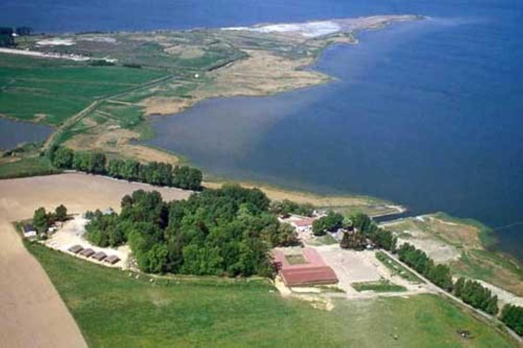 Bernsteinreiter Erlebnishof Barth, Blockhutte 17别墅 外观 照片